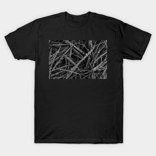 FROZEN PASTURES T-Shirt